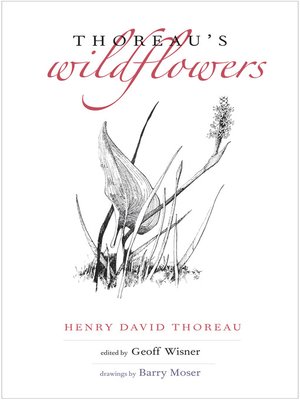 cover image of Thoreau's Wildflowers